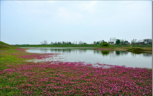 大美韩公渡