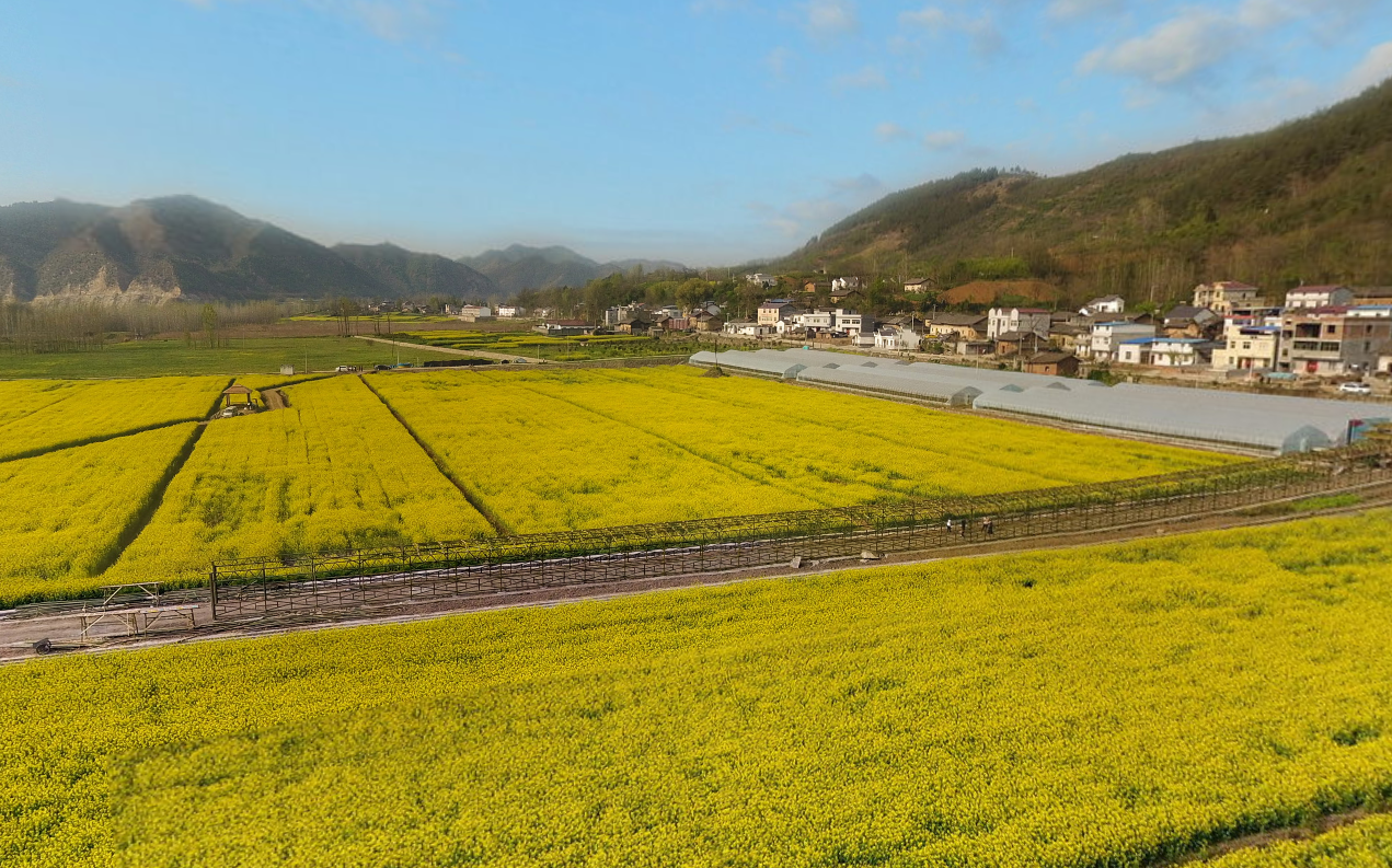 五峰乡风光