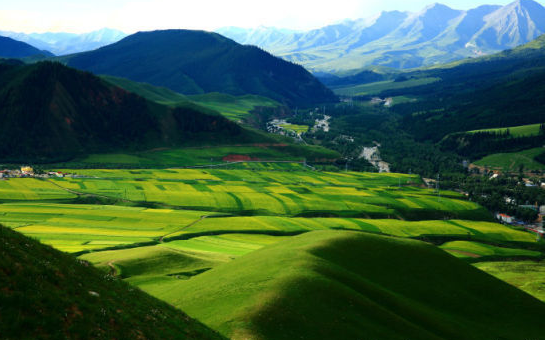 回龙山镇美景