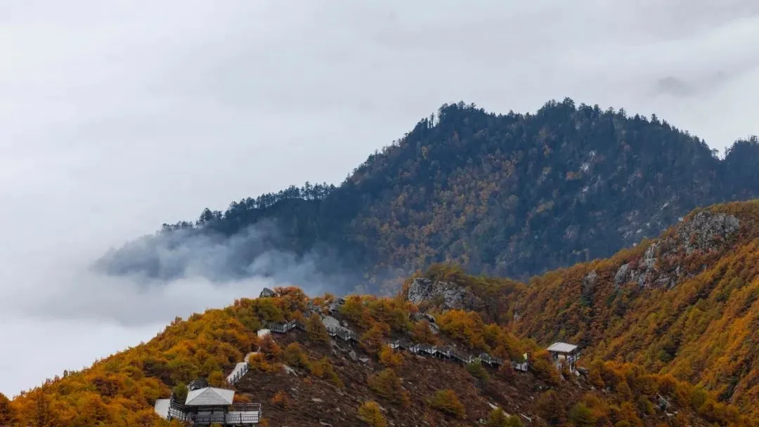 ▲秋日太白山云海