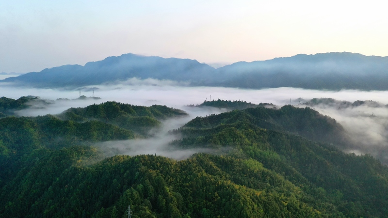 云雾缭绕下的东风湖湿地公园。